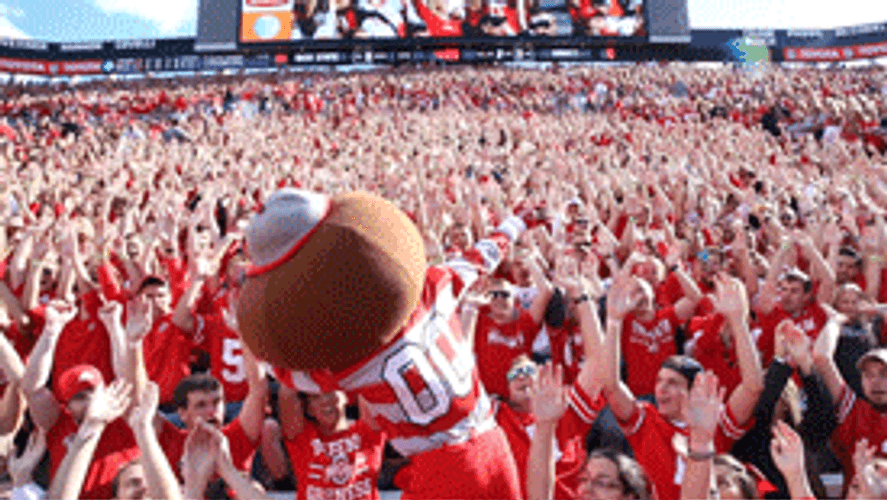 Ohio State Brutus Buckeye Swaying Arms With Fans GIF