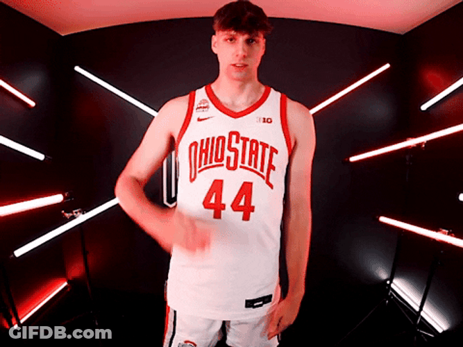 Ohio State Buckeyes Funny Salute GIF