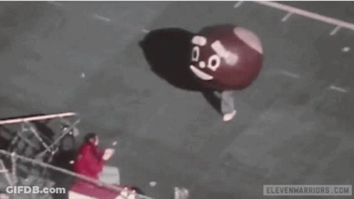 Ohio State Buckeyes Go Bucks GIF