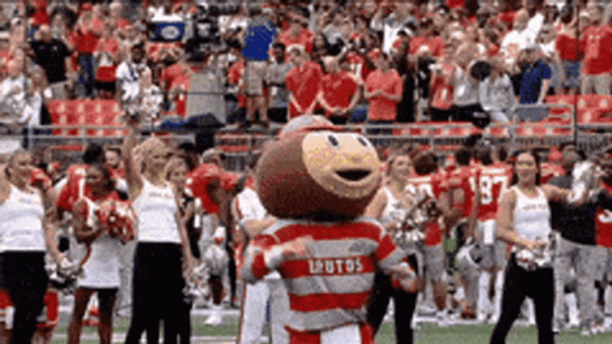 Ohio State Mascot Brutus Buckeye Celebrating GIF