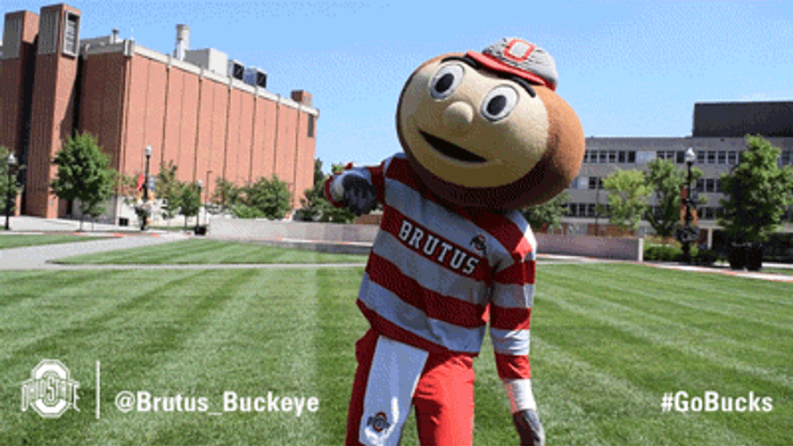Ohio State Mascot Brutus Buckeye Turning Around GIF