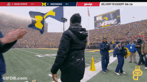 Ohio State Michigan Football Game GIF