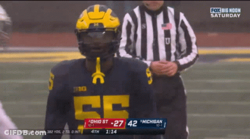 Ohio State Vs Michigan Football Game GIF