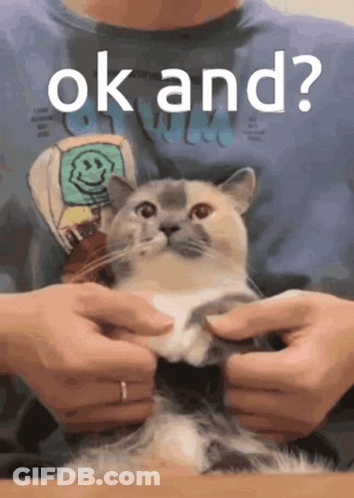 Ok And Dancing Cat GIF