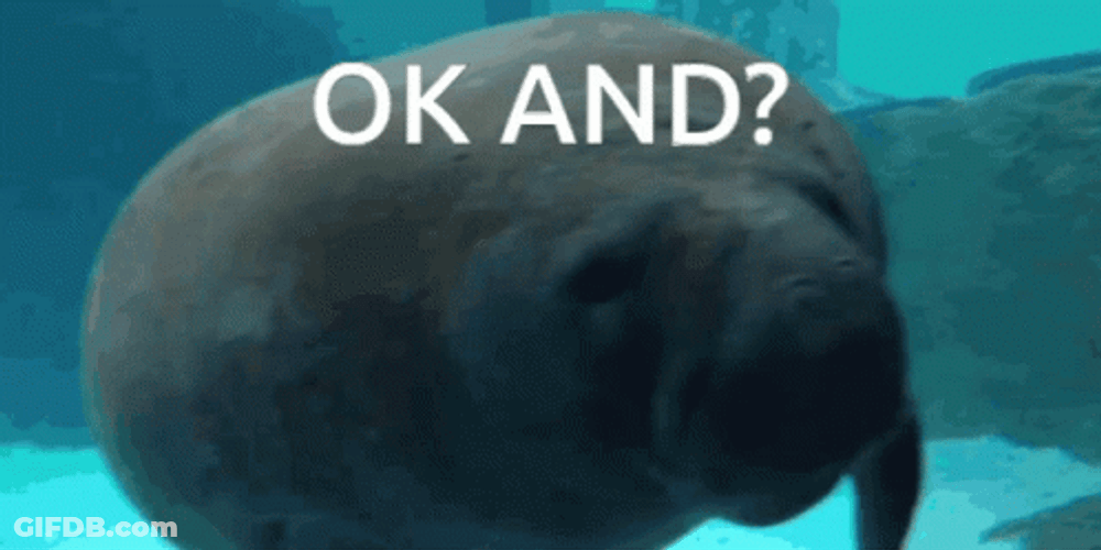 Ok And Manatee GIF