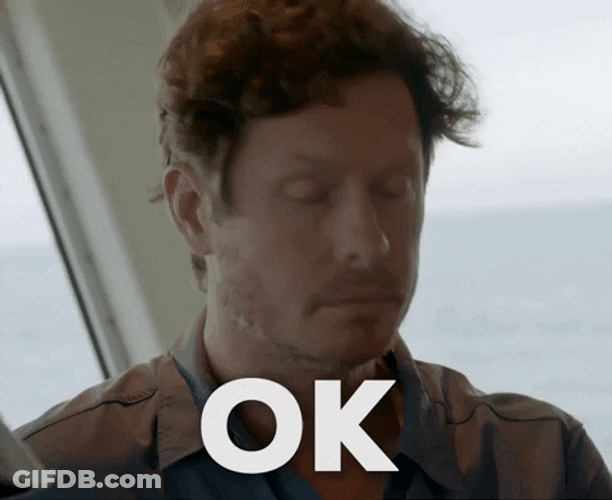 Ok Ander Holm GIF