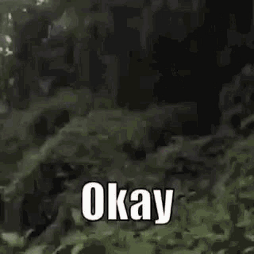 Ok Awkward Smile GIF