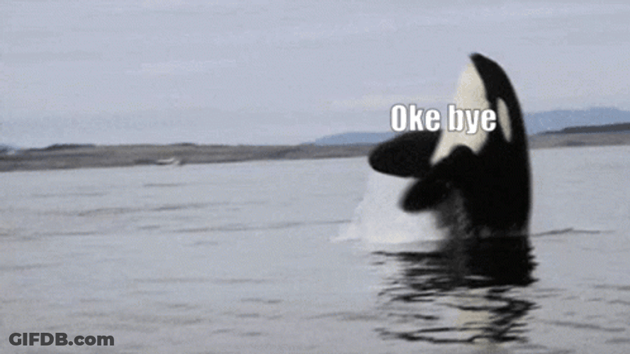 Ok Bye Orca Swimming Flip GIF