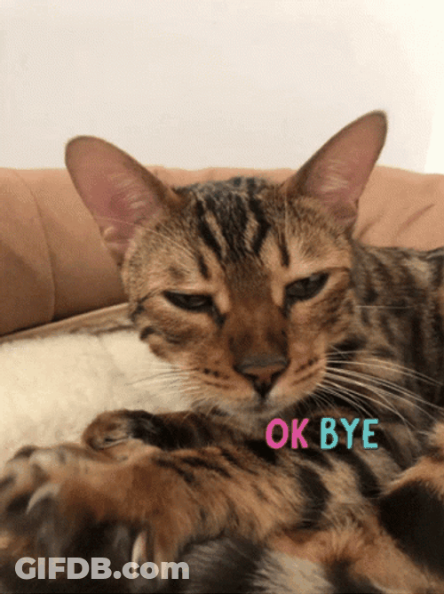 Ok Bye Sleepy Cat GIF
