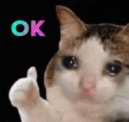 Ok Crying Cat GIF