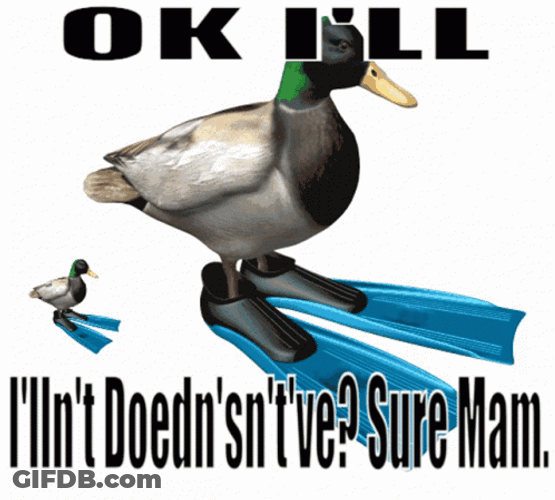Ok Duck Spinning GIF