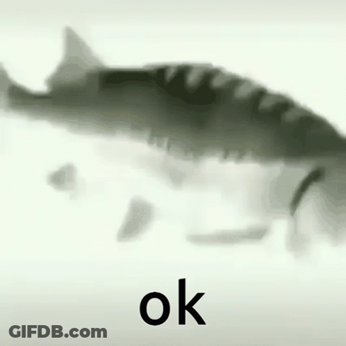 Ok Fish GIF