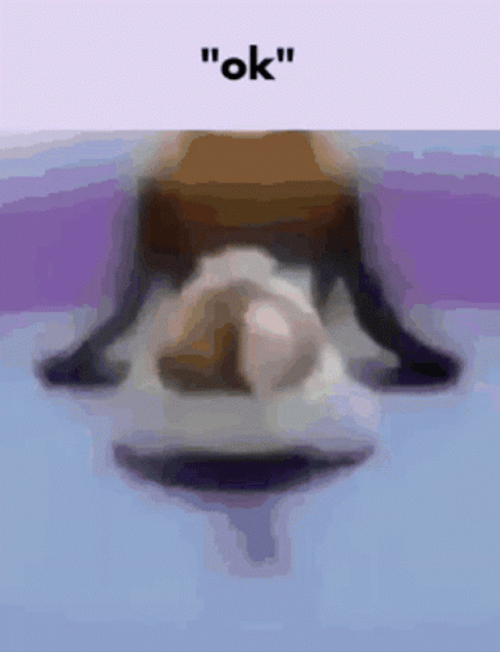Ok Meme Dog Cuh Gang GIF