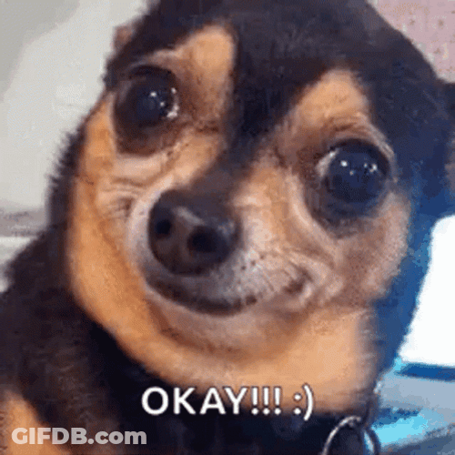 Ok Meme Okay Dog Smiling Face GIF