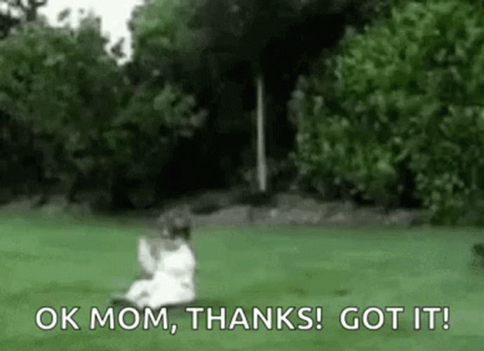 Ok Mom Thanks Got It GIF
