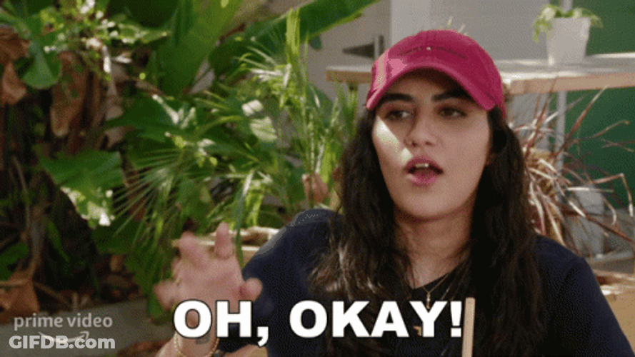 Ok Then Shiva Pishdad GIF