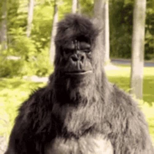 Okay GIF