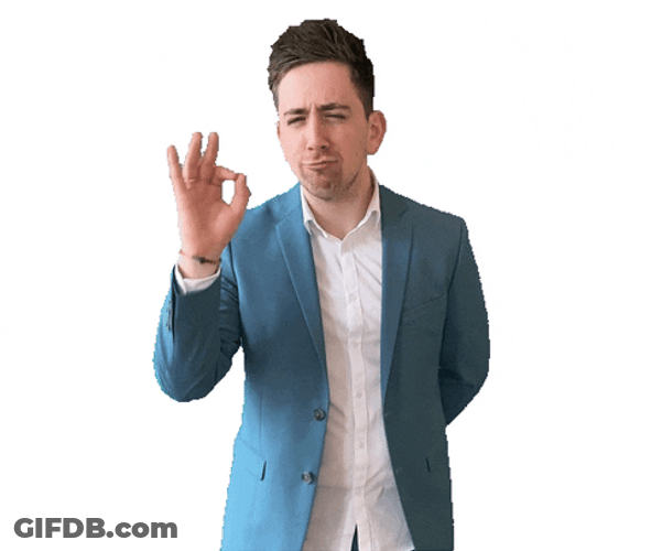 Okay Sign In Italian Hand GIF