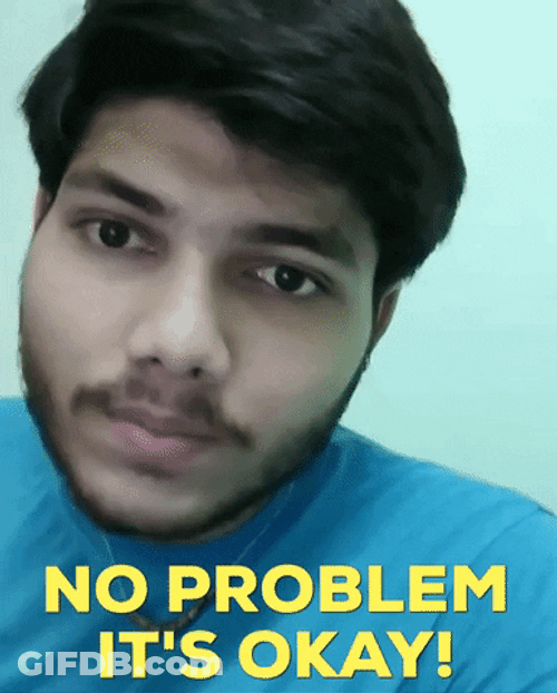Okay Sure No Problem GIF