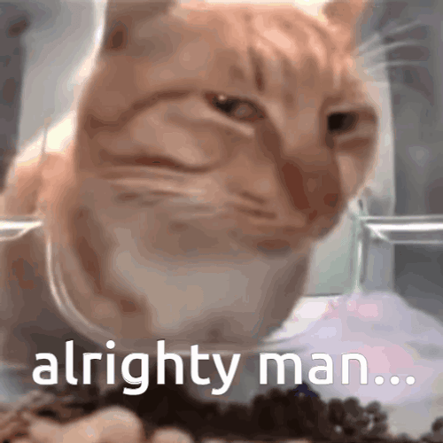 Okay Then Judging Orange Cat GIF