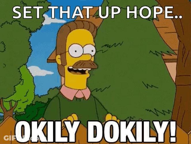 Okily Dokily Ned Flanders Set That Up Hope GIF