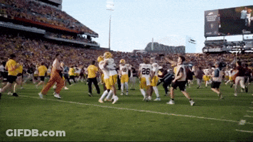 Oklahoma State Cowboys Mascot Dancing On Football Field GIF