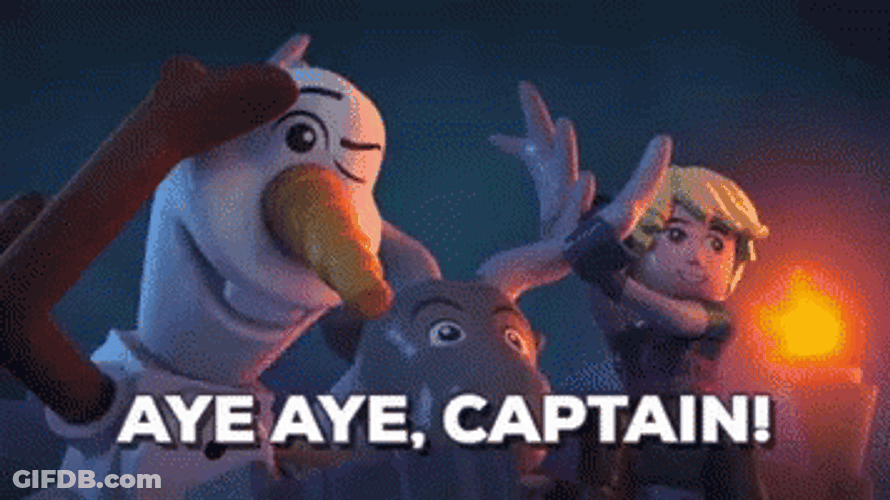 Olaf And Sven Aye Aye Captain GIF