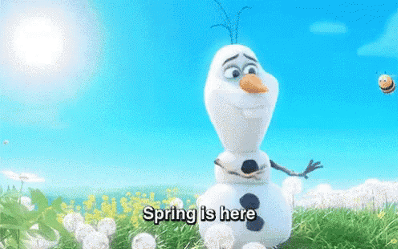 Olaf Spring Is Here GIF