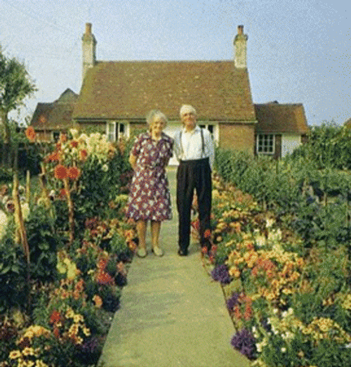 Old Couple Timelapse GIF