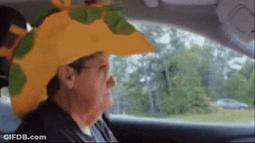 Old Funny Taco Tuesday Hat GIF