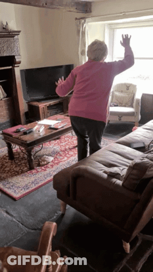 Old Lady Dance Winner Winner Chicken Dinner GIF