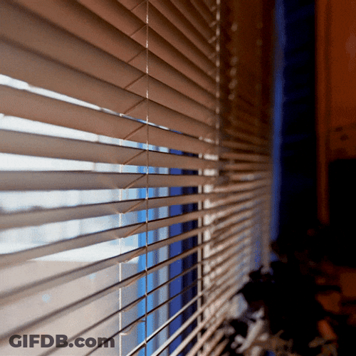 Old Lady Stalking Behind Window GIF