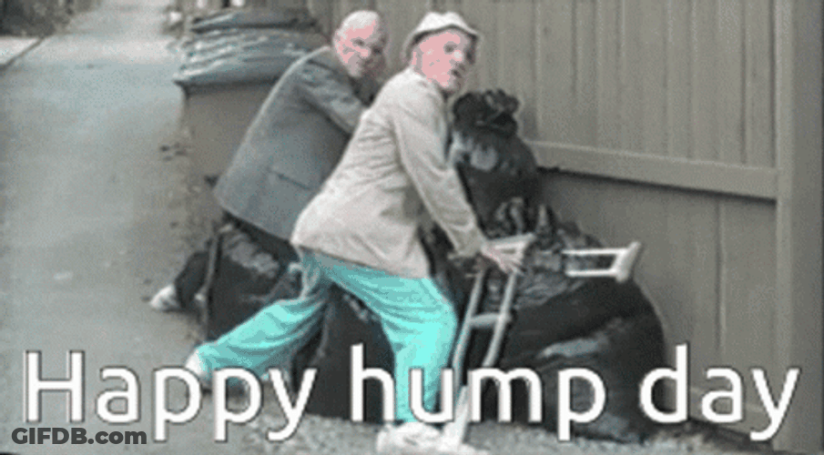 Old Men Happy Hump Day Clip GIF
