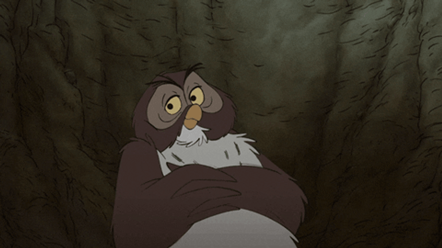 Old Owl Acting Innocent What GIF