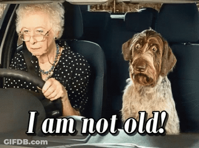 Old People Driving Car GIF