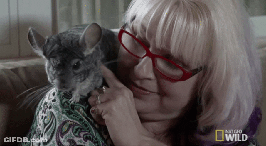 Old Woman Loves Wild Chinchilla GIF