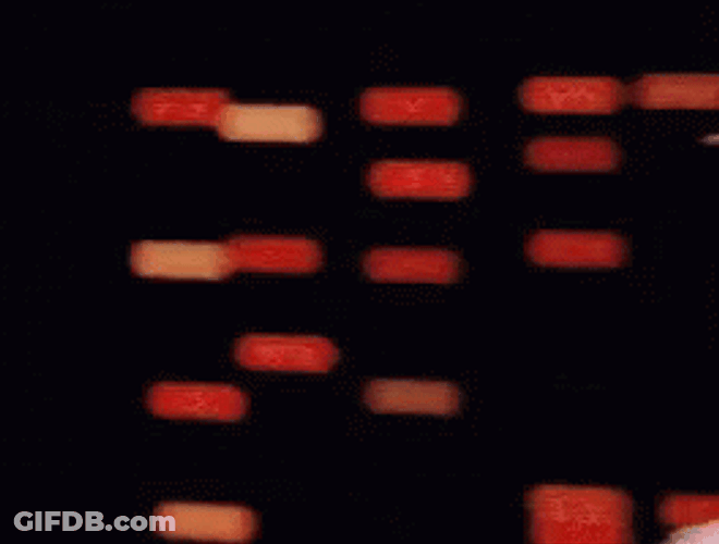 Old Woman Pointing GIF