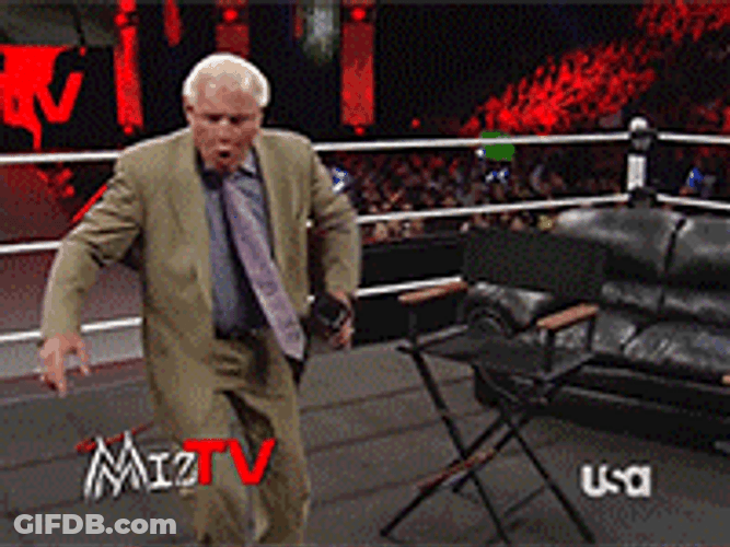 Old Wrestler Ric Flair GIF