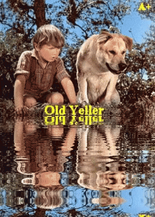 Old Yeller Animated Poster GIF