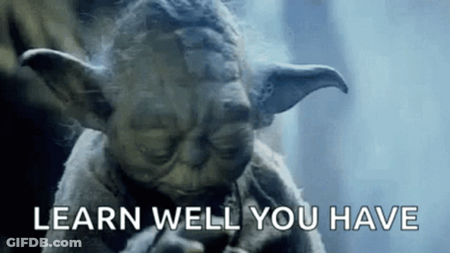Old Yoda On Learning Well GIF