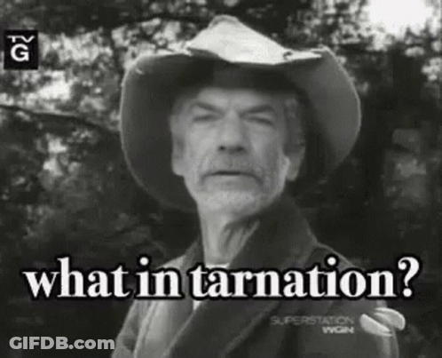 Older Man In Cowboy Hat Saying What In Tarnation GIF