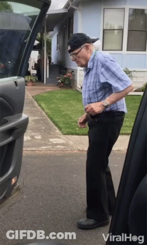 Older Man Next To Viral Hog Car GIF