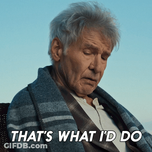 Older Man With Plaid Blanket Says That's What I'd Do GIF