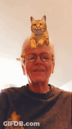 Older Woman With Cat On Head And Star Shirt GIF