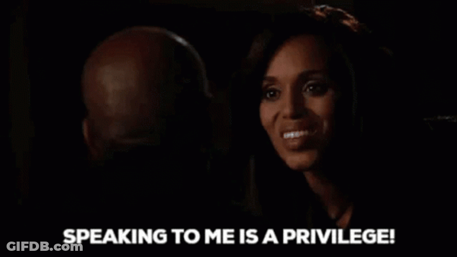 Olivia Pope Speaking To Me Is A Privilege GIF