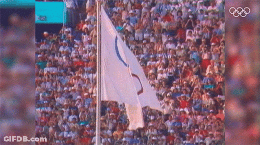 Olympic Flag Rings Up High GIF