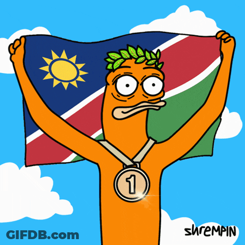 Olympic Olympics GIF