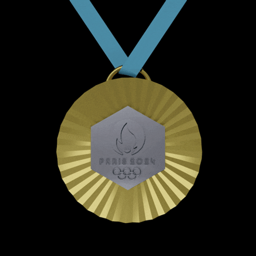 Olympic Rings Deserve The Gold GIF