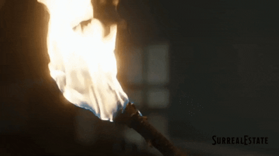Olympic Torch Rage GIF