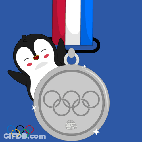 Olympics Silver Medals GIF